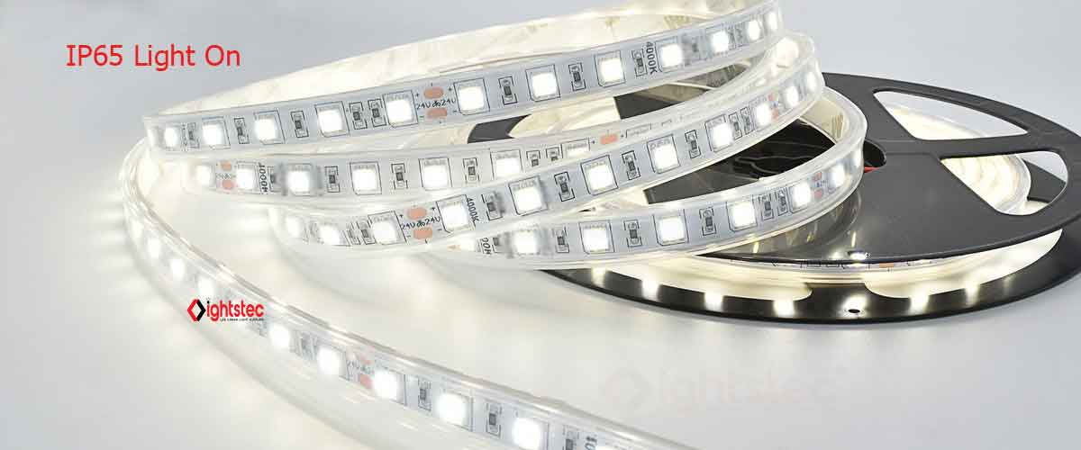 IP65-impermeabil-leduri-bandă-luminoasă-siliciu--rezistă la tuburi--lumină aprinsă IP65-waterproof-led-strip-light-silicon--tube-proof--light-on