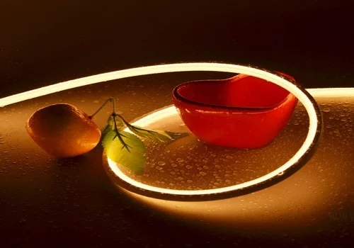 led neon flex light 1515 warmwhite