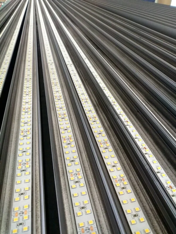 led linear light embed workshop
