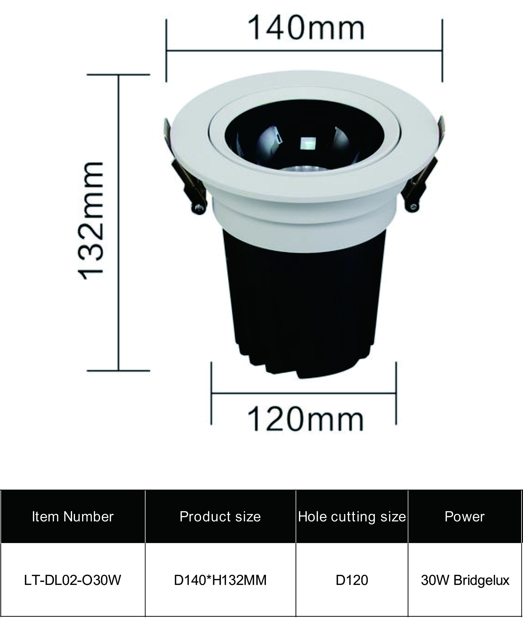 LED DOWNLIGHT DL02-O30W