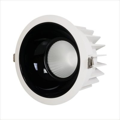 Recessed downlight (12)