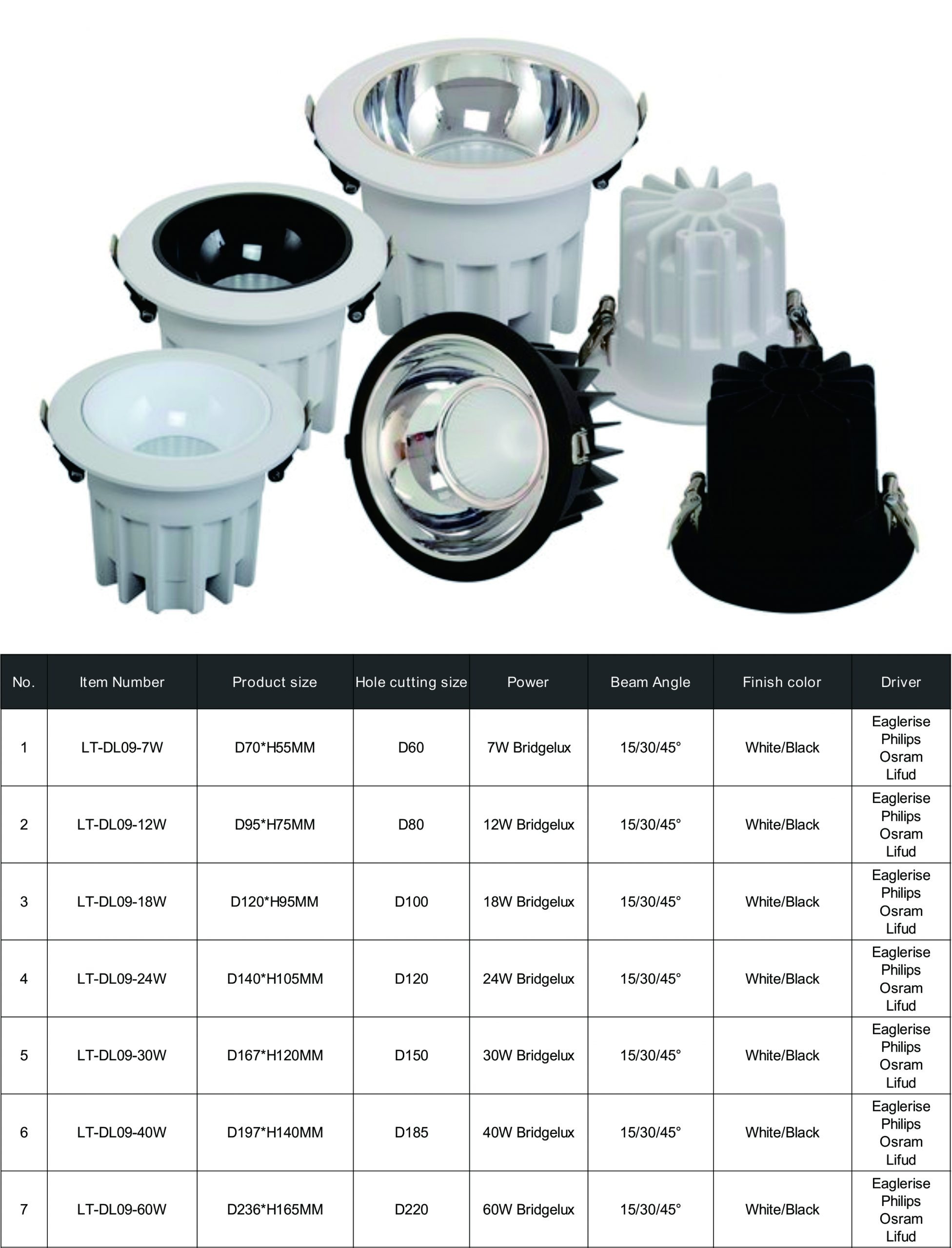 Recessed downlight DL09