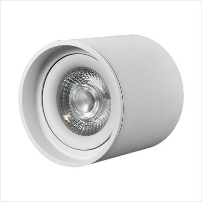 SURFACE MOUNTED DOWNLIGHT (4)