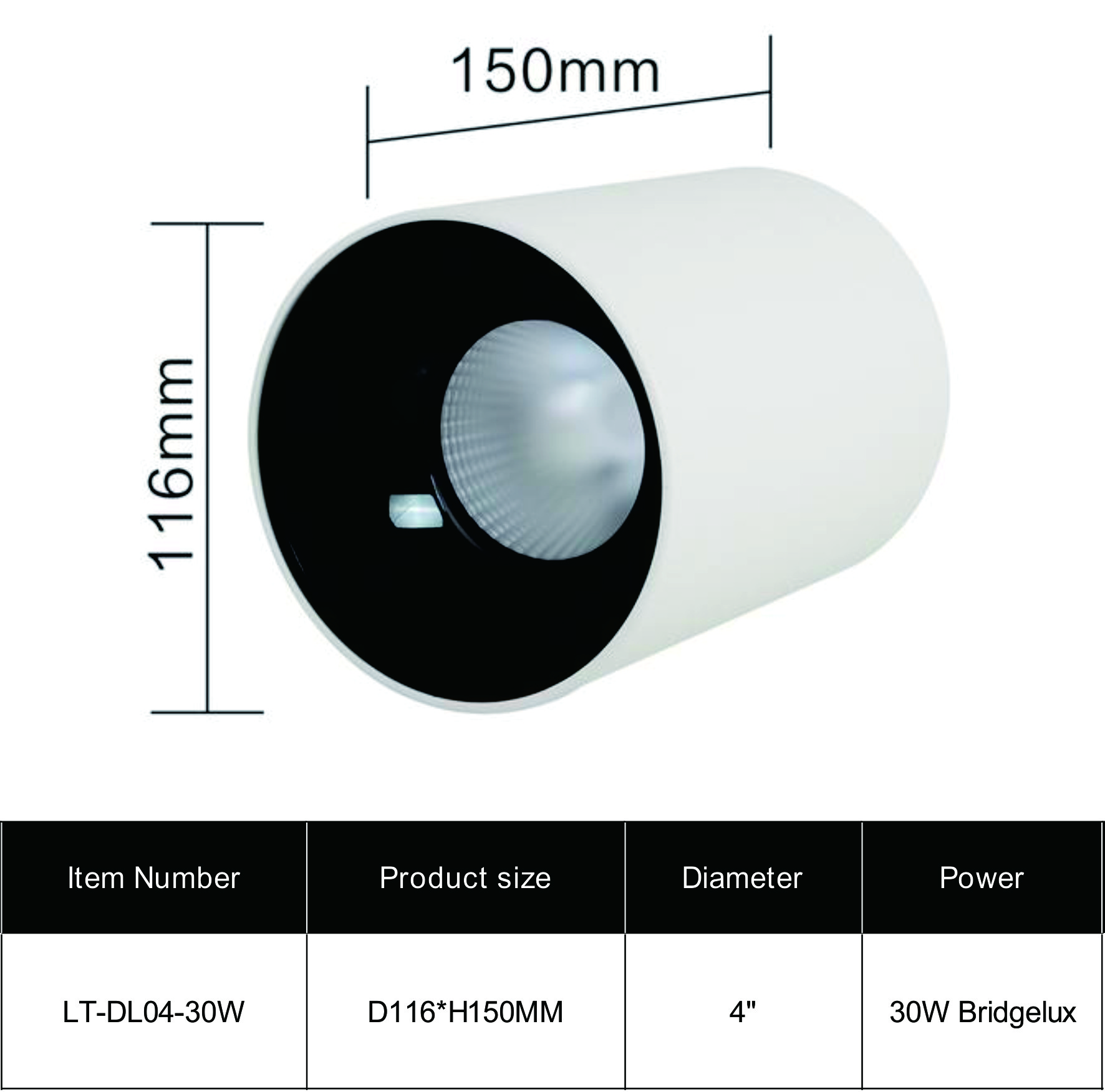 Surface Mounted Downlight DL04 - 30W