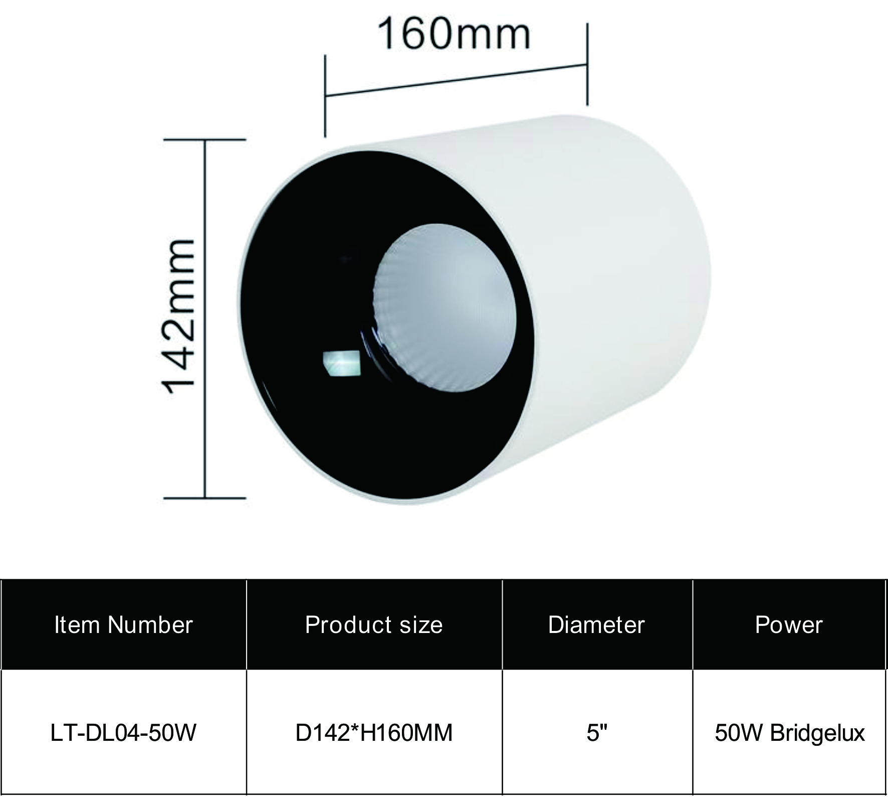 Surface Mounted Downlight DL04 - 50W