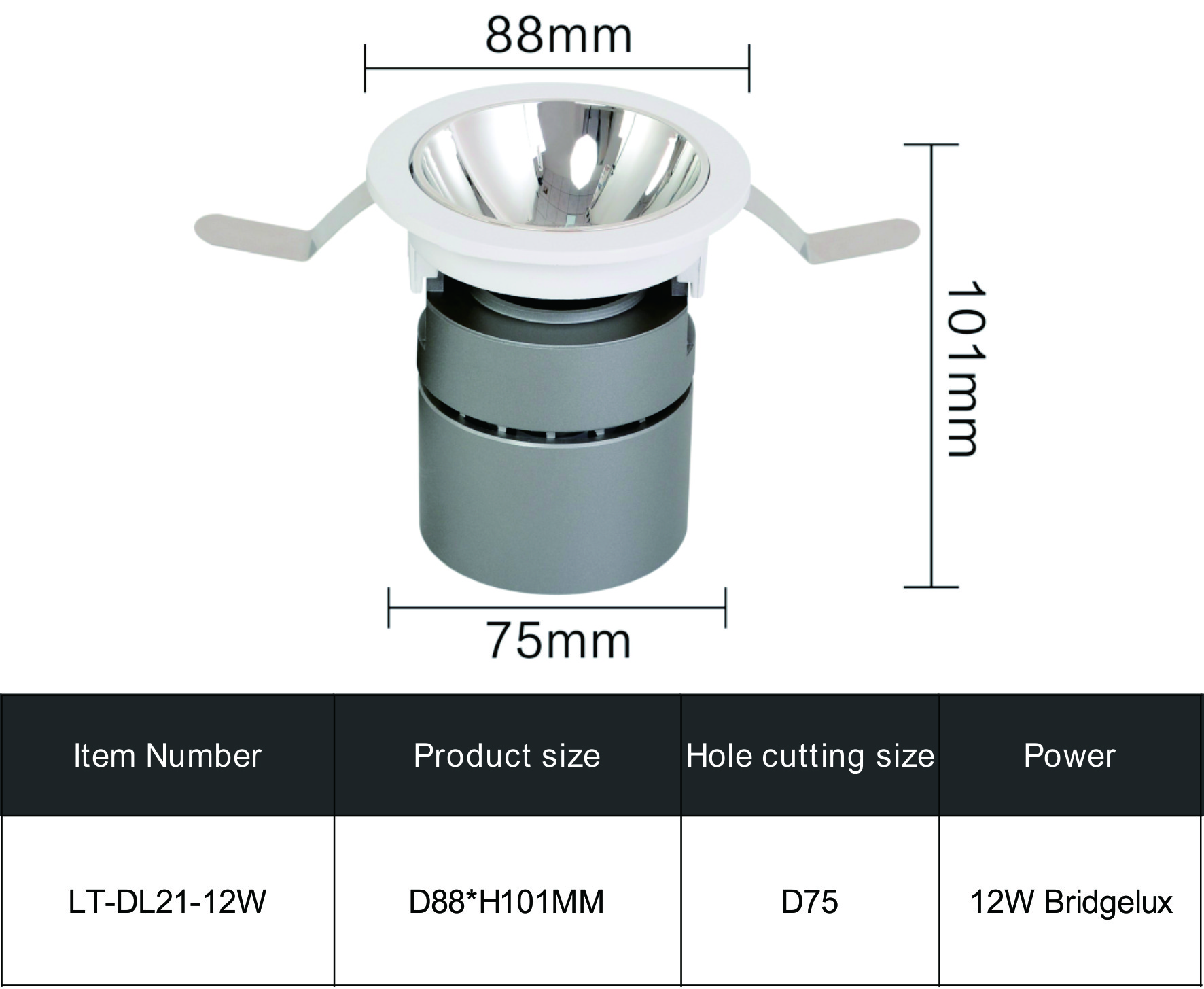 RECESSED DOWNLIGHT DL21-12W