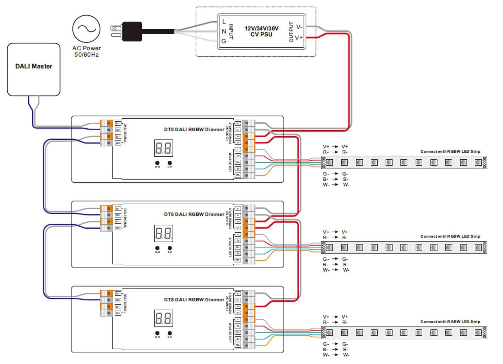 RGBW-LED-strip-DALI-DT8-connection-diagram