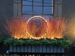 Plantadores brillantes luz LED